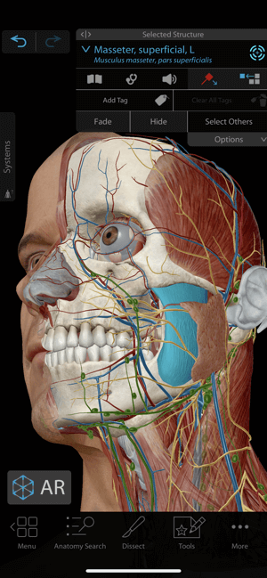 Human Anatomy Atlas provides detailed anatomy map