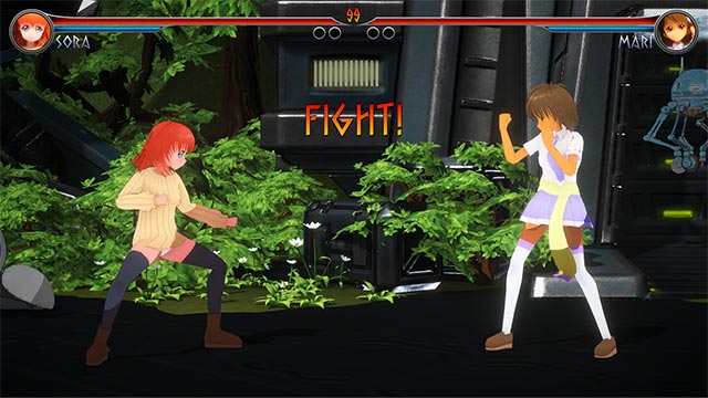 The Tale of Fighting Nymphes PC is an exciting fighting game with top martial arts scenes