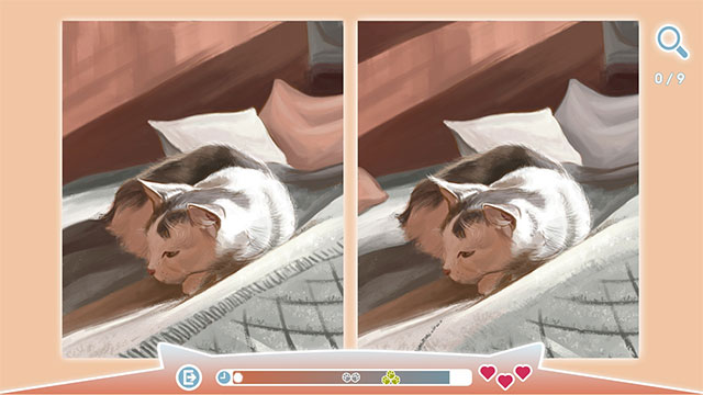 Cute Cat is game find the difference between 2 cute cat pictures