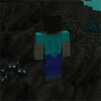 The Nether’s Flora Mod