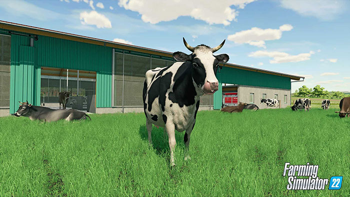 Động vật là nguồn cung cấp một số sản phẩm như sữa và len trong Farming Simulator 22