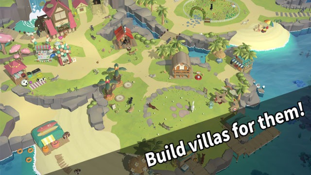 Build a villa, a resort for cat