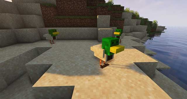 Players can hunt for ducks because each type of duck will drop 1 random material