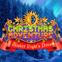 Christmas Adventures: A Winter Night's Dream