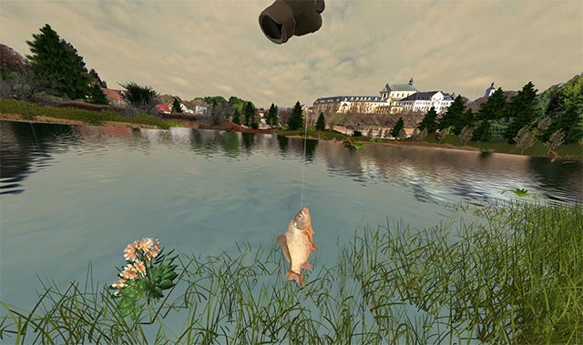 Fishing different types of fish in Fishing Adventure