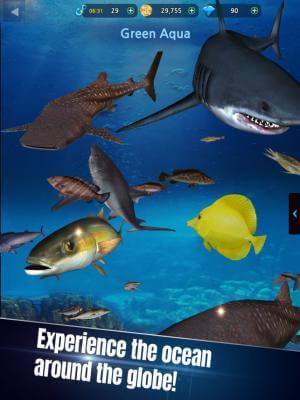 Discover hundreds of different fish species