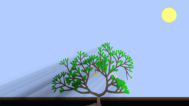 Game Kasi simulates the life cycle of a tree