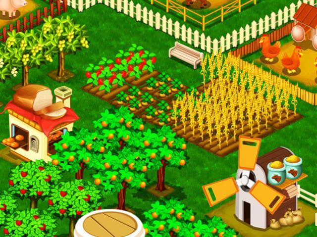 Growing plants and crops harvest crops
