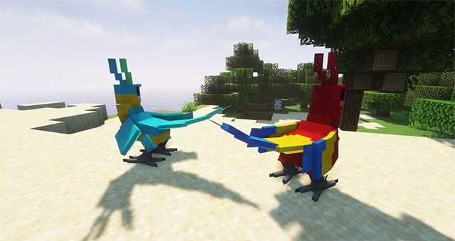 This new parrot is colorful and one of the companions interesting