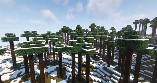 Biomes of Wild là bản Mod quần xã sinh vật mở rộng cho Minecraft