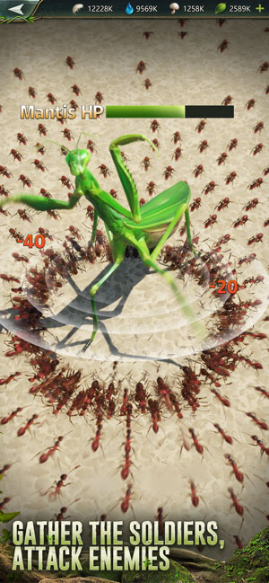 Gather ant soldiers, attack enemies
