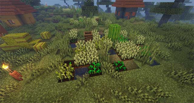 Crops Love Rain Mod 1.18.1 sẽ giới thiệu vào Minecraft một tính năng mới