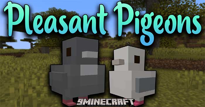 Pleasant Pigeons Mod sẽ thêm vào Minecraft loài sinh vật mới là chim bồ câu