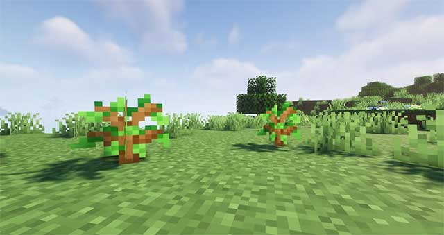 You will have a chance to restore all biomes with that biome's special species