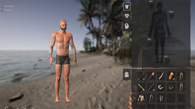 Build and develop rich characters in the game Project Castaway