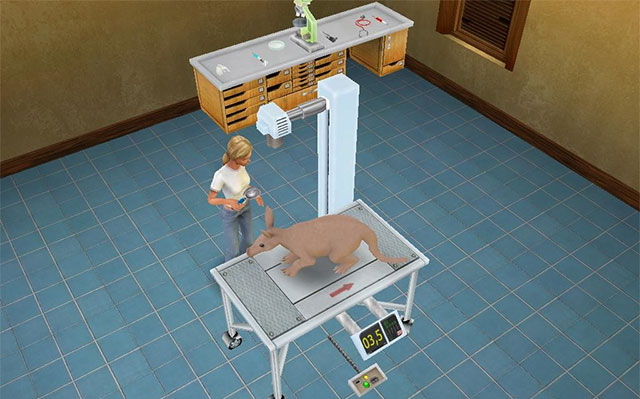 Vào vai bác sĩ thú y với nhiệm vụ khám chữa bệnh cho động vật hoang dã trong game Pet Vet 3D Wild Animal Hospital