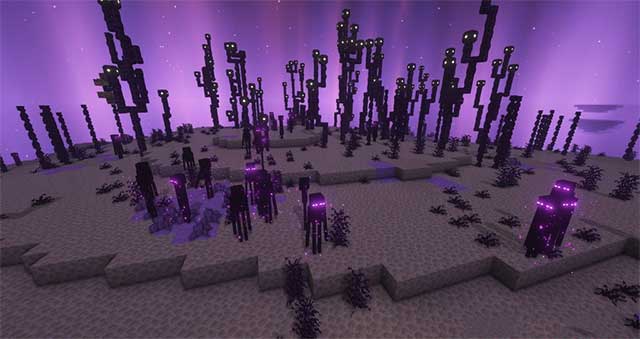 Besides the Ender Dragon, you also have to fight other creatures. in the dark