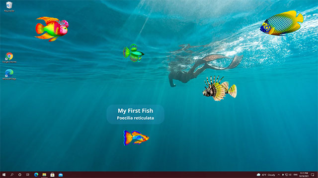 Game Virtual Aquarium simulates a glowing aquarium. colorful desktop
