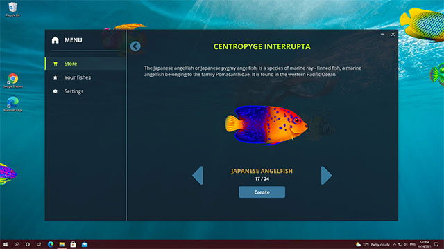 Explore the names and information of fish species in the Virtual Aquarium game