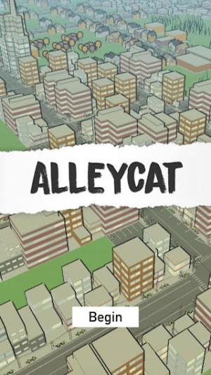 Alleycat is a cool bike riding simulator