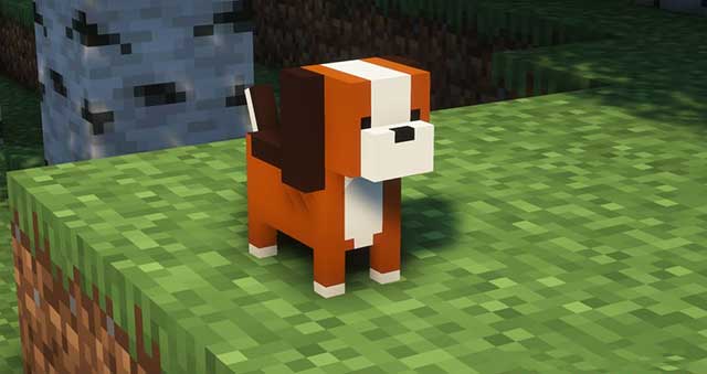 Collect more than 26 new breeds of dogs that spawn around the globe. Minecraft