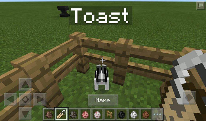 Toast The Bunny