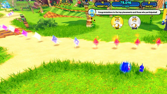 Người chơi điều khiển Sonic the Hedgehog với tốc độ cực nhanh và lên cấp bằng cách thu thập hỗn loạn.