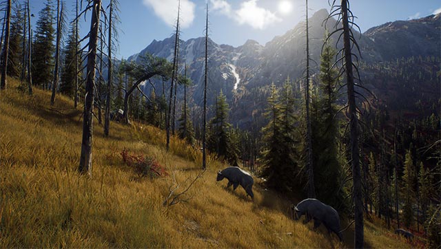 Game Way of the Hunter vividly simulates the hunting experience. in the vast forest