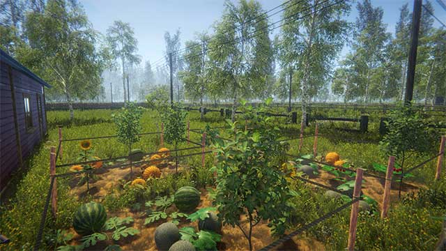 Garden Paradise: A Dream in Green is a realistic farm simulation game
