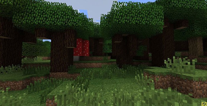 Roofed Forest