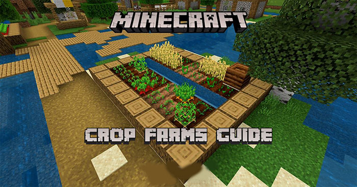 Hướng dẫn trồng trọt trong Minecraft - Download.com.vn