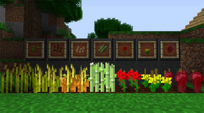 Minecraft có rất nhiều loại cây có thể trồng được