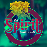 The Spirit In The Woods