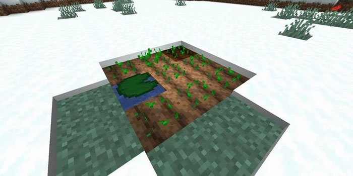 Hướng dẫn trồng trọt trong Minecraft