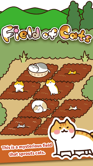 Field of Cats for you to create your own cute cat field