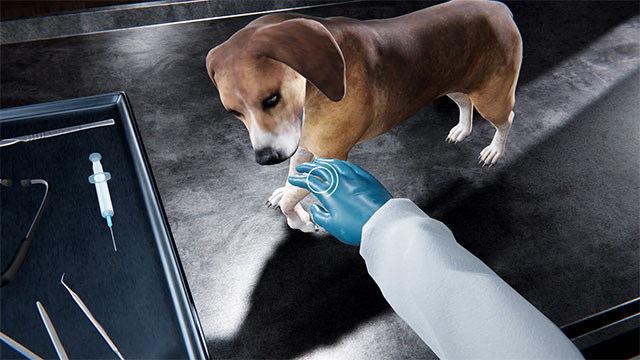Choose the right treatment for each wound or disease in Veterinary Clinic Simulator game