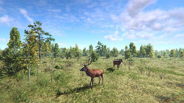 Show off your shooting skills in this realistic animal hunting game On the Hunt