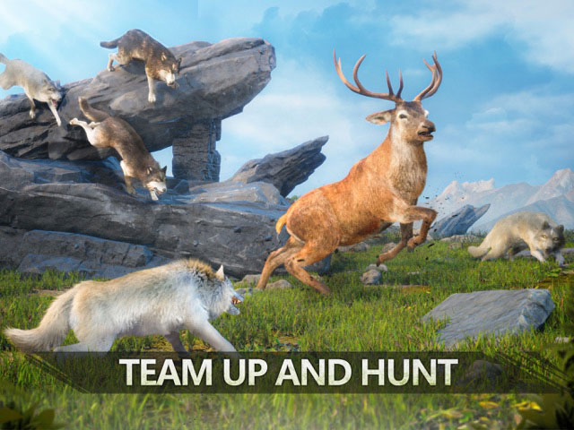 Set up a team with other wolves to team up and hunt in the game Wolf Game: The Wild Kingdom 