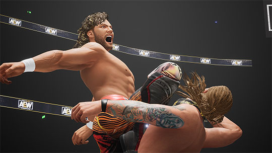 AEW: Fight Forever model realistic simulation of international standard wrestling matches