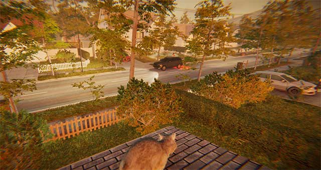 Animal Simulator hỗ trợ chế độ chơi hợp tác và nhiều người chơi cục bộ