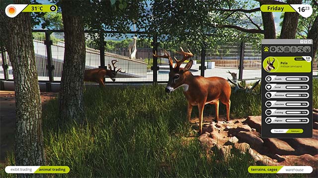 Chăm sóc các loài vật và đảm bảo chúng có điều kiện sống tốt nhất trong Zoo Simulator