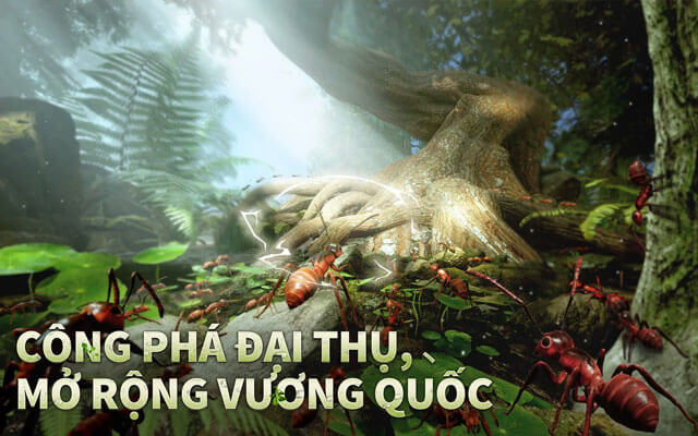 Công phá đại thụ mở rộng vương quốc