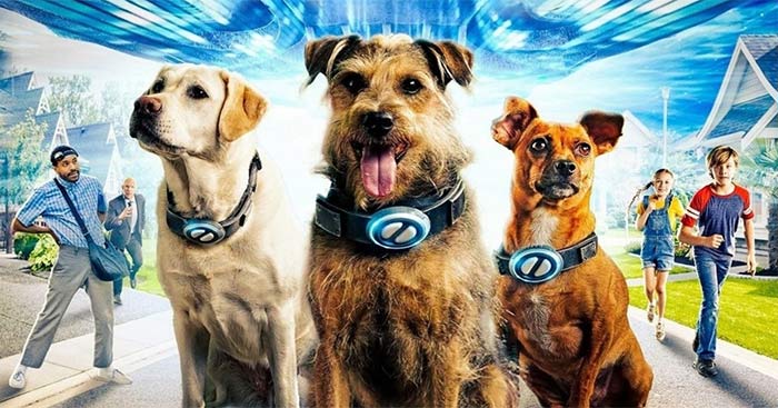 Siêu Cún Vũ Trụ Du Hành Trái Đất - Space Pups - Phim phiêu lưu dành cho gia đình