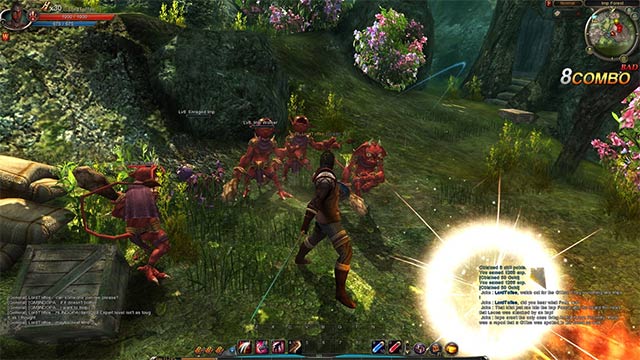 Continent of the Ninth Golden là game MMORPG kết hợp phiêu lưu hành động có chiều sâu