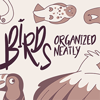 Birds Organized Neatly
