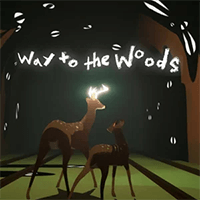 Way To The Woods